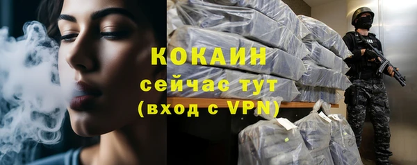 индика Армянск
