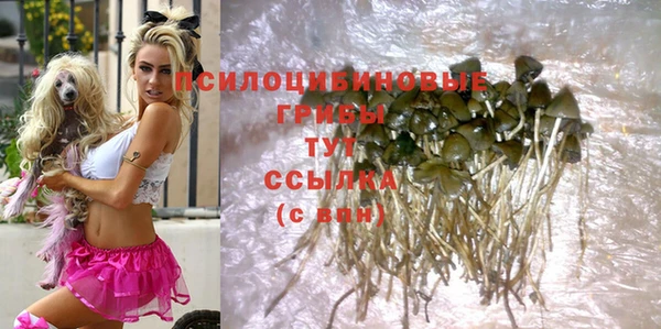 индика Армянск