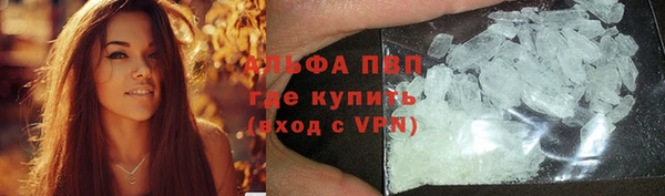 трава Аркадак