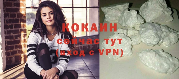 индика Армянск
