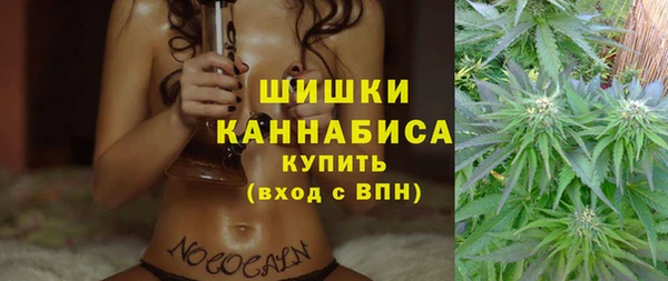 трава Аркадак