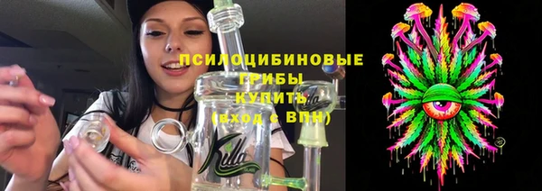трава Аркадак