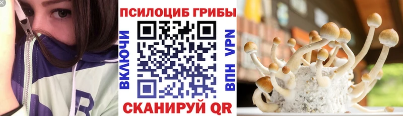 купить закладку  сайты даркнета клад  Псилоцибиновые грибы Magic Shrooms  Среднеколымск 